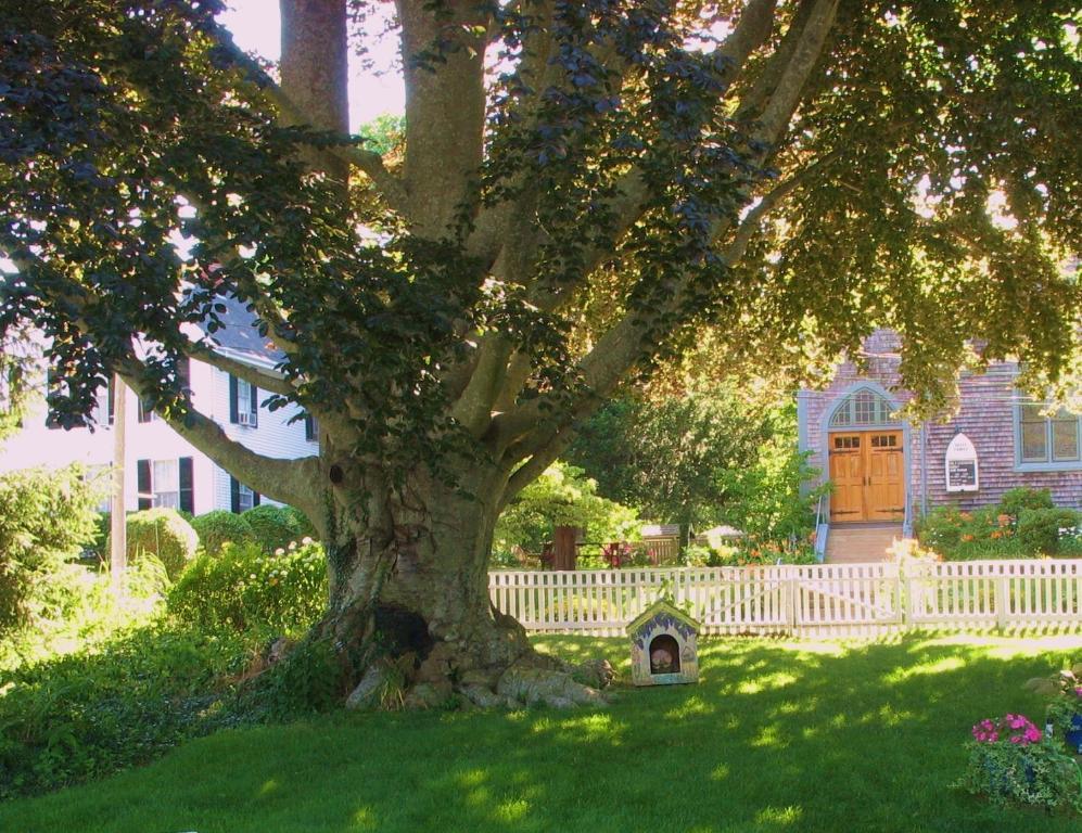 The 1720 House Bed & Breakfast วินยาร์ดเฮเวน ภายนอก รูปภาพ